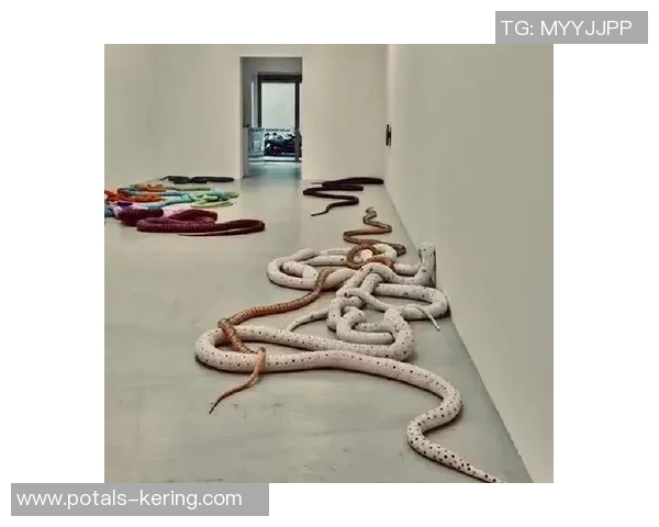 加莱诺的艺术世界探索与文化影响力的深度剖析